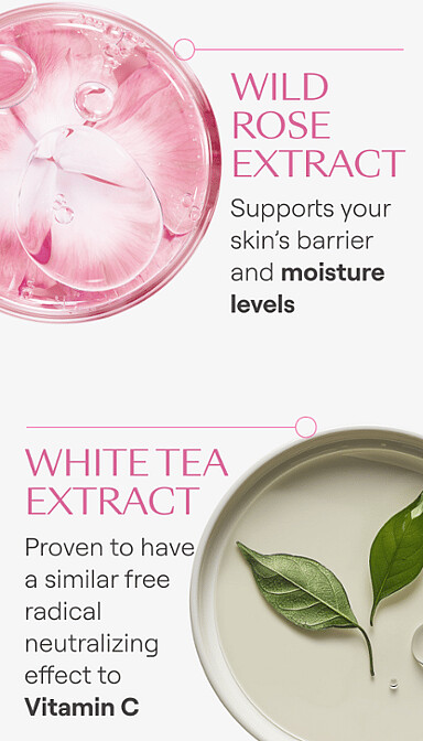 alisando crema de día con rosa salvaje y té blanco - weleda